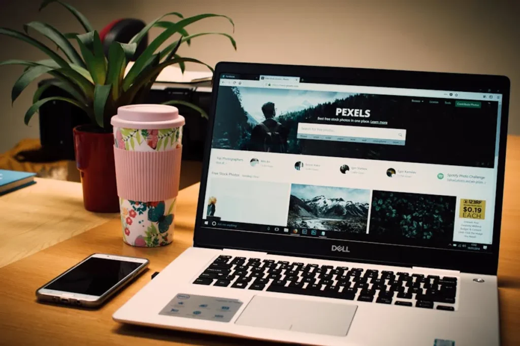 bolttimes Website Quality: Content, Design, and Authority